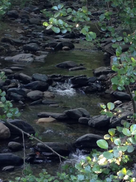 & Appartement Montseny